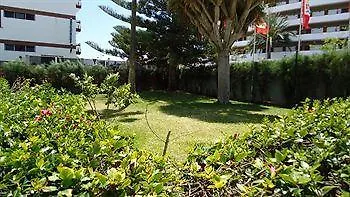 Fayna 普拉亚戴尔雷安格莱斯